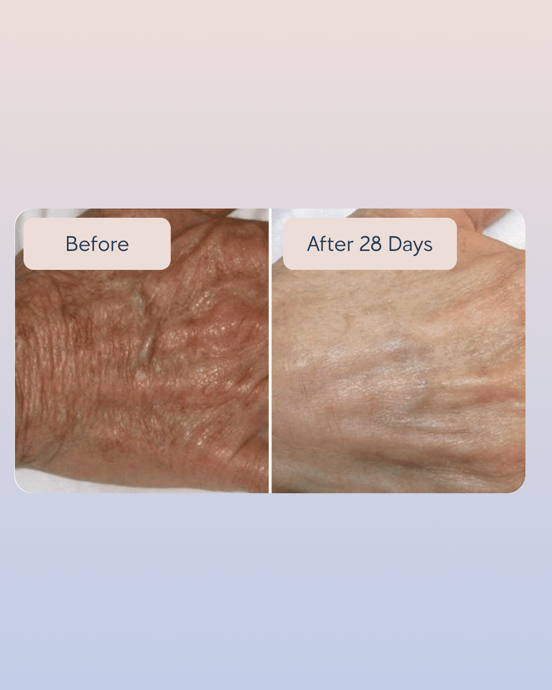 Golden Collagen Hand Cream